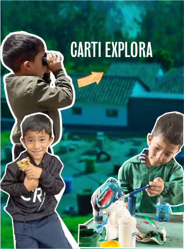 Imagen carrusel